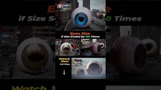 Thumbnail: Eyes Size Comparison at 1000x Scale | #trailer