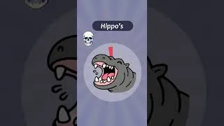 Thumbnail: 5 Animals That Can KILL Humans in One Bite