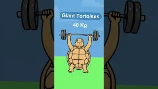 Thumbnail: Who Lifts the Most Weight?