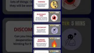 Thumbnail: Timeline: What happens if you stop blinking?