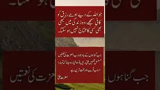 Thumbnail: Heart Touching Quotes#urduquotes #islamicquotes #viral #goldenwords #shorts #hearttouching