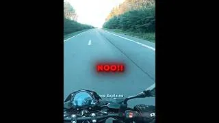 Thumbnail: Biker Saves A Little Cat ❤️‍🩹