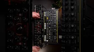 Thumbnail: Erica Synths HexDrums, Bass Line, Echolocator & Nightverb | Live Techno Jam 🔥 @EricaSynths
