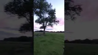 Thumbnail: Epic Sunset with the Google Pixel 4a