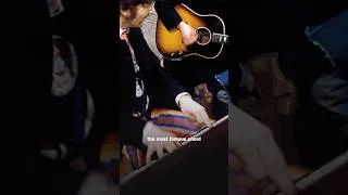 Thumbnail: The most famous chord of all time