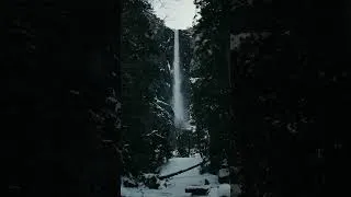 Thumbnail: Canon C50 7k Open Gate in Yosemite #canonc50