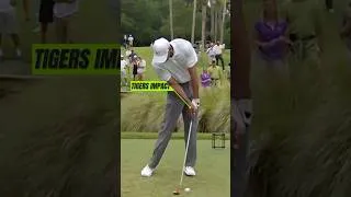 Thumbnail: Tiger Woods Perfect Golf Swing 🔥 Pure Ball Striking! #TigerWoods #golf #golfTips