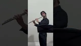 Thumbnail: Paganini Caprice no. 10 (Flute version)  #flute #paganini #music #classicalmusic