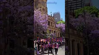 Thumbnail: Sydney Town Hall | Historic Landmark in Sydney Australia 🇦🇺 #travel #beautifuldestinations
