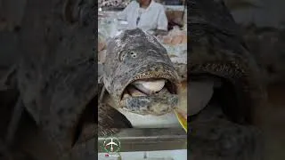 Thumbnail: Insane Panamanian SEAFOOD MARKET!