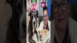 Thumbnail: Trying out the reimagine feature … Oooops it stretches reactions LOL 💕🐾