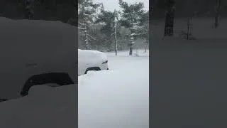 Thumbnail: Snowmageddon in North Carolina!!