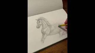 Thumbnail: Horse “Loyal” // Pencil Art