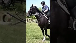 Thumbnail: Draft Horse Jumping!