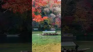 Thumbnail: Autumn in Kyoto #slowtravel