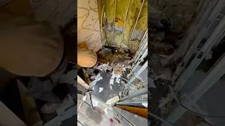 Thumbnail: 7 days. One epic wet room upgrade. Watch the 60s transformation #shorts #howto #diy #timelapse