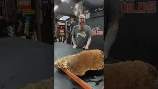 Thumbnail: What Should I Make Out of These Burls? Vote in Comments #woodworking #woodworkingideas #makerlife