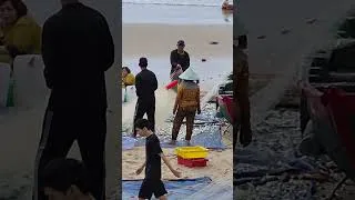 Thumbnail: Vung Tau Fishermen