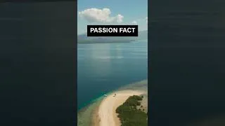 Thumbnail: Let me know your thought in the comments section 👇  #shortsviral #factshorts  #passionate #decision