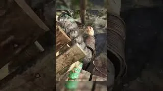 Thumbnail: When it goes wrong in NAKWON, it goes WRONG 😨#gaming