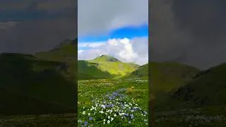 Thumbnail: buki full fulne season sakina lagyo hai sathiharu #deepakkauchamagar #visitnepal #rukumeast #nature
