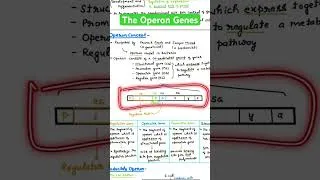Thumbnail: The Operon Concept