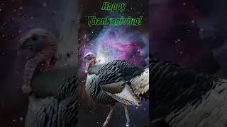 Thumbnail: M42 The Great Orion Turkey! #deepspaceastro #thanksgiving