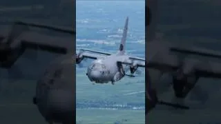 Thumbnail: He ain't ganna jump no more... #deer #furry #army #airborne