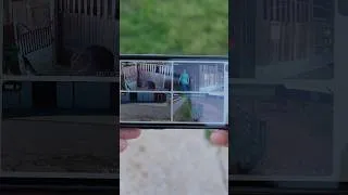 Thumbnail: Monitor 4 Cameras in Real Time