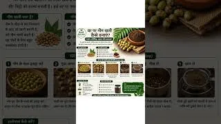 Thumbnail: #NeemKhali #NeemBoli #OrganicGardening #GardeningTips