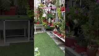 Thumbnail: #MeraGarden #MeraSukoon #GardenLove #NatureVibes #DelhiNatureLover