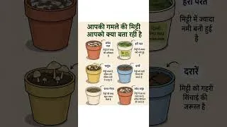 Thumbnail: #GardeningTips #PlantCare #HealthySoil #GardenLovers #ContainerGardening #PlantParents #Organic
