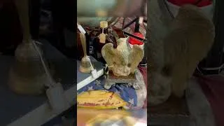 Thumbnail: My booth is located at: Antiques & More10345 Auto Mall Pkwy, D'Iberville, MS 39540