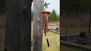 Thumbnail: I Discovered the Secret to SERENITY with This Soothing Hummingbird Wind Chime!