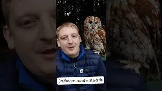 Thumbnail: Demba chilling with our mate Roy Hodgson 🤣 #owl #owls
