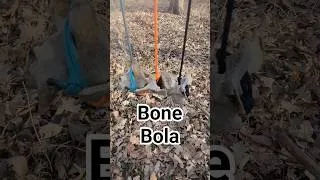 Thumbnail: Bone Bola