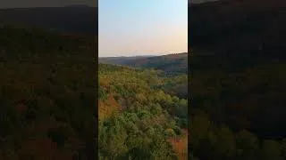 Thumbnail: Autumn in New England