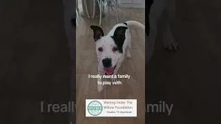 Thumbnail: Help me find a family
