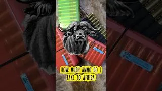 Thumbnail: How Much Ammo For Africa?