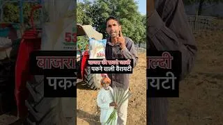Thumbnail: बुलेट की रफ्तार से सबसे जल्दी पकने वाला हाईब्रिड बाजरा वैरायटी | Bajra ki top variety #ytshorts