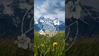 Thumbnail: Wyoming 4K Relaxation Film | Grand Teton National Park | Yellowstone with Ambient Music #Shorts