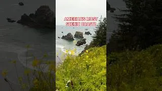 Thumbnail: This Oregon Coast Road Trip Will Leave You Speechless!