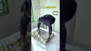 Thumbnail: DAY IN LIFE OF A SWE IN MUSANZE