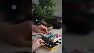 Thumbnail: I wish you all a day sounding like this ✨#rolandp6 #chasebliss #synth