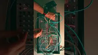 Thumbnail: Have you ever thought of spicing up your patche with an envelope follower? #synth #eurorack #buchla