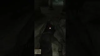 Thumbnail: PERMA KEY GLITCH IN OBLIVION | TES IV Oblivion #shorts