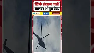 Thumbnail: Nepal Floods: सिर्फ इंसान नहीं जानवर भी हुए बेघर #Shorts