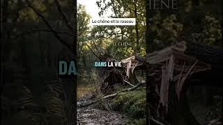 Thumbnail: Le chêne et le roseau #sagesse #développementpersonnel #motivation