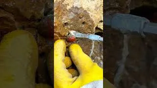 Thumbnail: Crystal hunting in forgotten mines: The ultimate guide。Rainbow Beach's Crystal Secrets