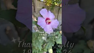 Thumbnail: God’s Coloring Book 🌸 | Blooms From My Garden #garden #dollypartontribute